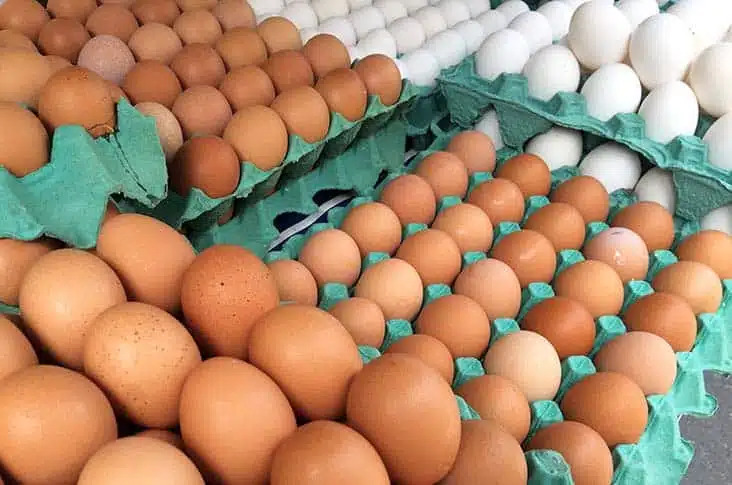 Carne suína, ovos e frango podem ficar mais caros; Aumentos pode ser efeito da guerra