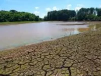 Quatro cidades paraibanas entram em situação de emergência por causa da seca