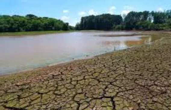 Quatro cidades paraibanas entram em situação de emergência por causa da seca