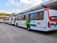 Campina Grande ganha nova linha de ônibus no transporte público